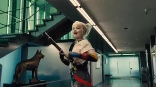 Harley Quinn ~{pretty little psycho}