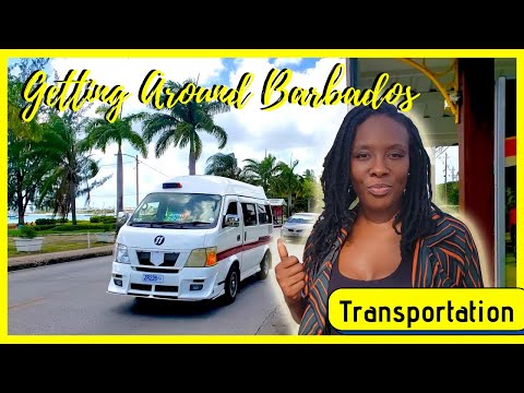 How to get around Barbados, Reggae Bus, Public Transportation Barbados | Taxi or Rent a Car