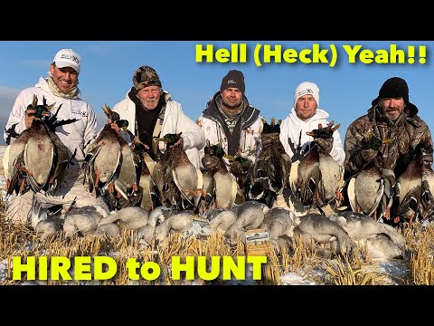 Hired to Hunt Season 7 #13: Snow Mallards & Snows ... Duck and Goose Hunting. Limit Hunts in Alberta