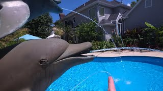 Mega Cleaning and Planting Patio Plants Plant Haul and New Hydrangeas