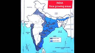 CBSE CLASS 10 GEOGRAPHY (Rice growing areas)