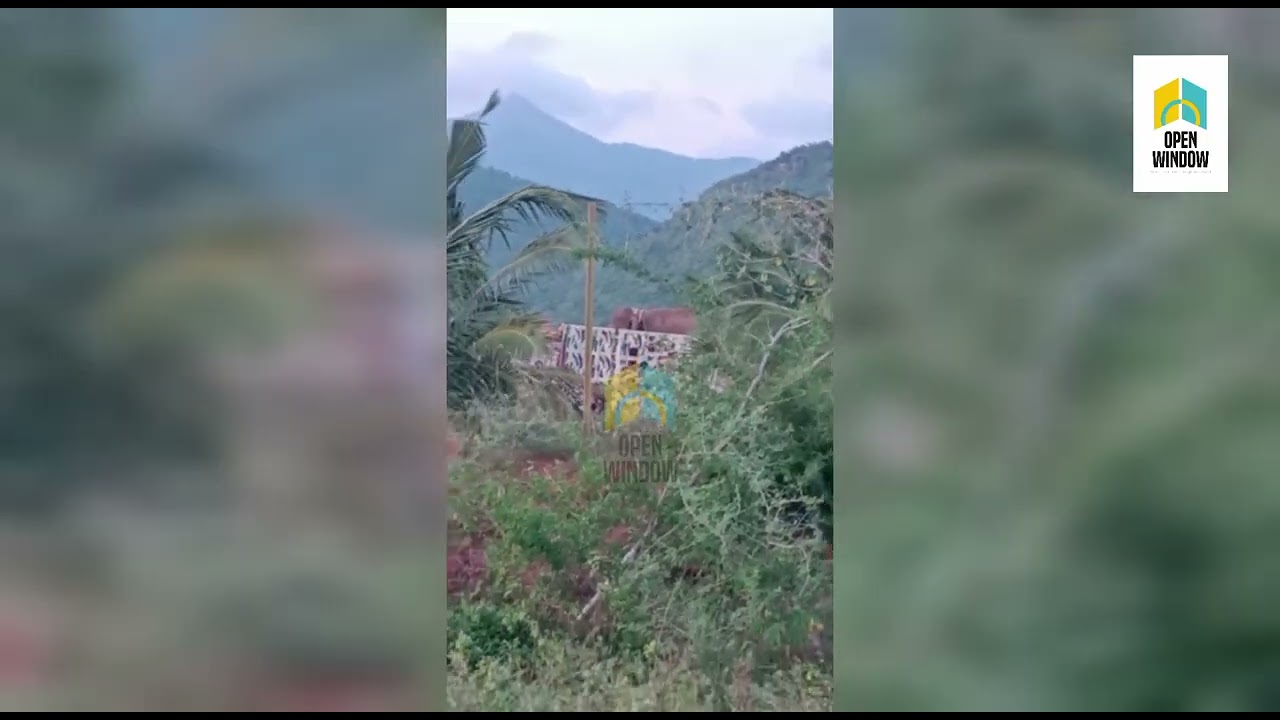 ജനവാസമേഖലയിൽ ഇറങ്ങിയ അരിക്കൊമ്പനെ മയക്കുവെടി വെച്ച്  എലഫെൻ്റ് ആംബുലൻസിലേക്ക് മാറ്റി : ദൃശ്യങ്ങൾ കാണാം