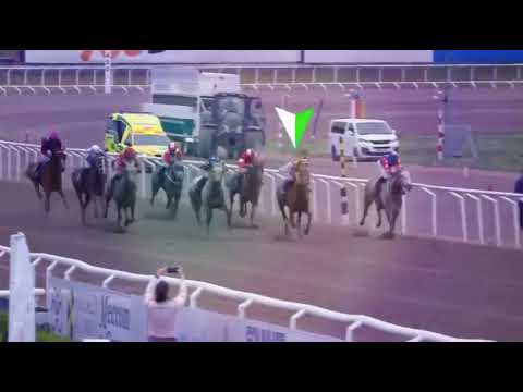 WATHBA STALLIONS CUP GR3 PA - JAGERSRO RACECOURSE - 11/05/2022