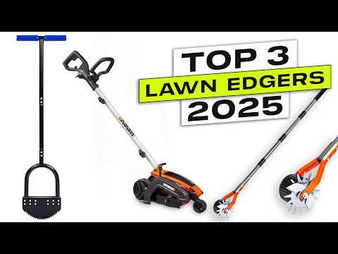 Top 3 BEST Lawn Edger