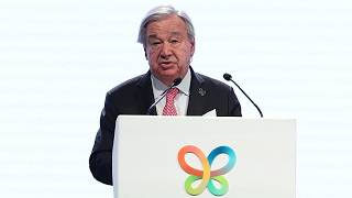 "Subvencionar el suicidio": jefe de la ONU pide fin de ayudas a combustibles fósiles contaminantes