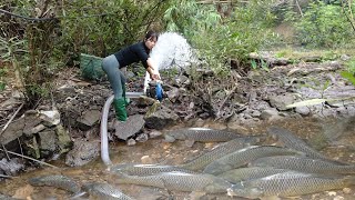 Greatest Fishing Videos | Girl Fishing Catch Fish With Pump | Catch Many Big Fish