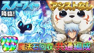 【パズドラ】スノーフィー降臨を完全破壊！超重力もただの飾りになる最強編成で脳死周回ｗｗ【安定攻略】【実況】