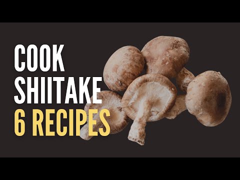How To Cook With Shiitake Mushrooms: 6 Delicious And Easy Recipes!