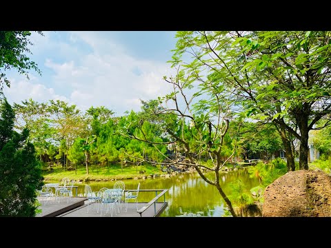 Paradise Garden - Café Lặng - 203 Long Thuận, Phường Long Phước, Tp, Thủ Đức