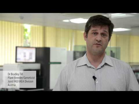 Take 2 Highlights of Science Seminar - Forward and reverse genetics