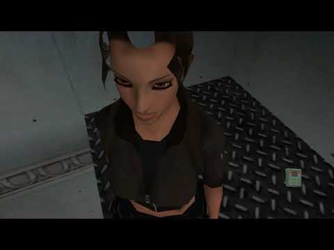 TRLE - The Croft Curse - Level 3: Croft Estate