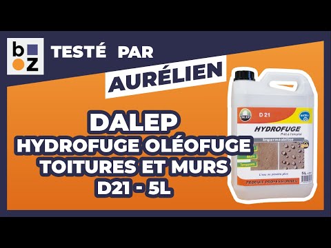Hydrofuge - non filmogène - façades et murs - D21 DALEP