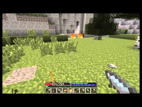 TerraFirmaCraft S:1-E:3