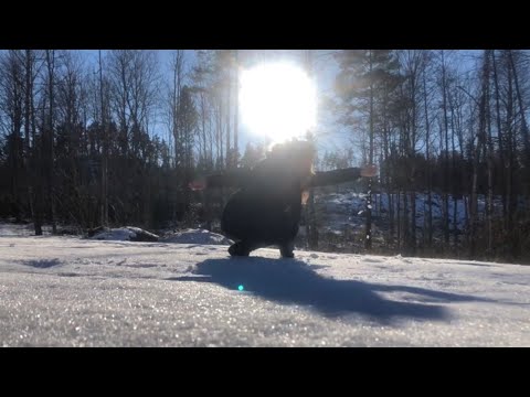 Reflections of Nature - Dance Film