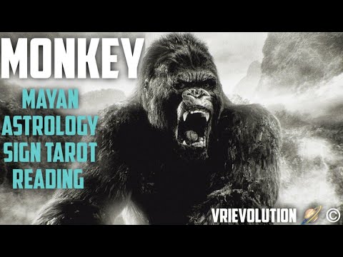 Monkey 🐒| Exposing Power Hungry Psychopaths By Being Prince/Princess Charming | Mayan Astrology 💥