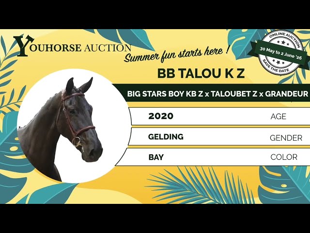 BB Talou trainingsvideo