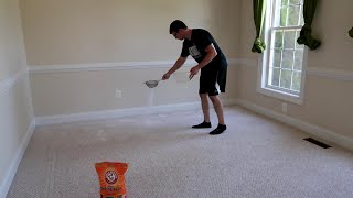 Remove pet odors from your carpet using baking soda