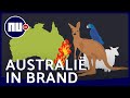 Waarom zijn de bosbranden dit jaar zo heftig in Australië? | NU.nl
