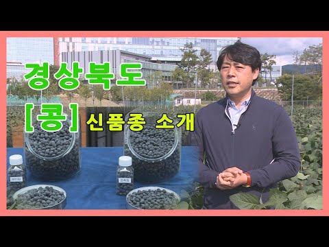, title : '"경상북도 콩 신품종소개" -경상북도농업기술원 손창기연구관'