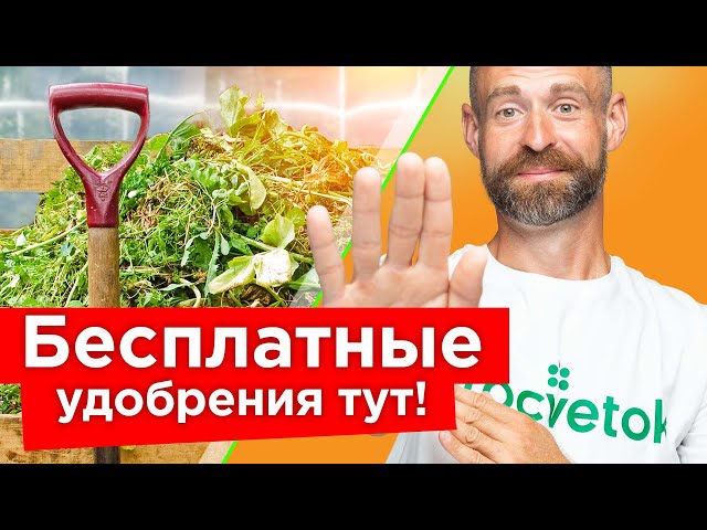 ХВАТИТ ПОКУПАТЬ УДОБРЕНИЯ – даже на маленьком участке найдете бесплатно! Главное знать, где искать