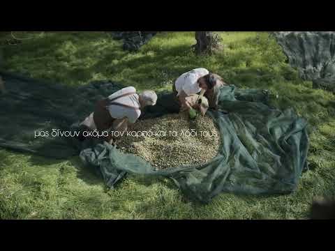 Video 3