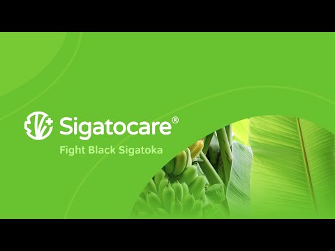 Sigatocare