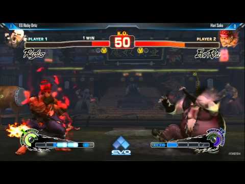 USFIV: EG Ricky Ortiz vs HORI Sako - EVO2014 Top 8 - Capcom Pro Tour