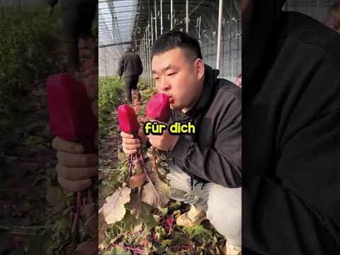 Wie hast du es eigentlich geschafft, ganz unauffällig das heißeste Mädchen der ganzen Schule klar...