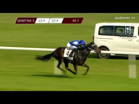 Nagroda Westminster Cardei - (Kat.B) 25.09.2022 - (Dzień 34; Gonitwa 3)