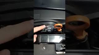 Síntomas del 00833 Great Wall