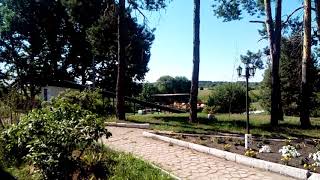 Лучшие базы отдыха Республика Мордовия