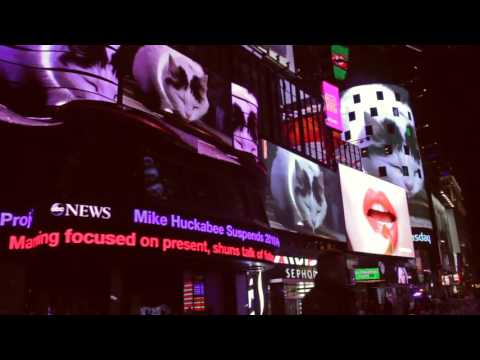 February 2016 Midnight Moment: "Busi (Kitty)" by Peter Fischli and David Weiss