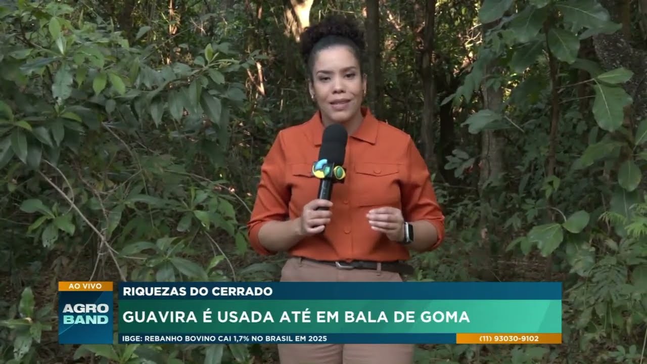 Cerrado vira matéria-prima para novos alimentos produzidos por estudantes da UFMS