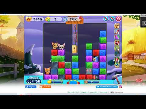 Pet Rescue level 5906, pet rescue, nivel 5906 pet rescue solucionado, solved, sin booster 5906, 5906