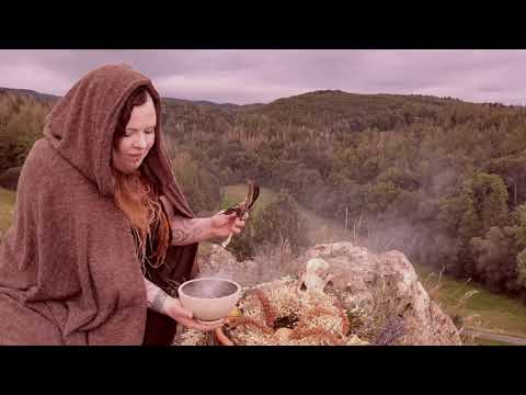 WALDTRAENE - Aequinox (Official Video)