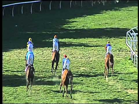 Galoppo 06/02/2016 - 1° corsa