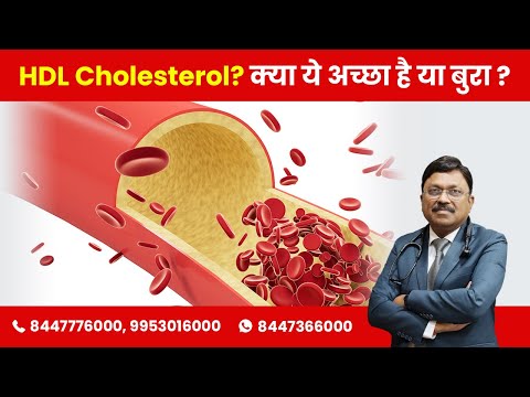 क्या होता है HDL Cholesterol ? क्या ये अच्छा है या बुरा ?What is HDL Cholesterol ? Is it good or bad