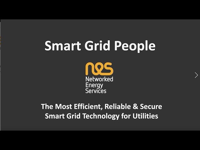 About Networked Energy Services - what can we do for your Smart Grid?