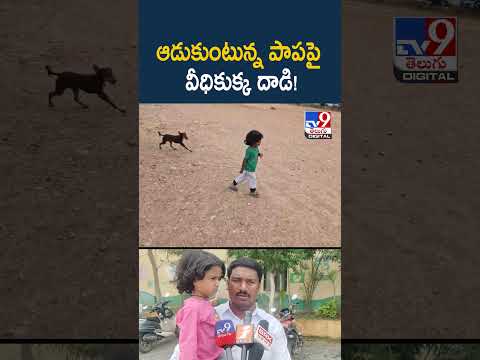 ఆడుకుంటున్న పాపపై వీధికుక్క దాడి! - TV9
