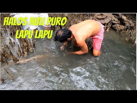 Part 1 Panglambat sa may mga bakawan halos puro lapu lapu huli namin @Harabas