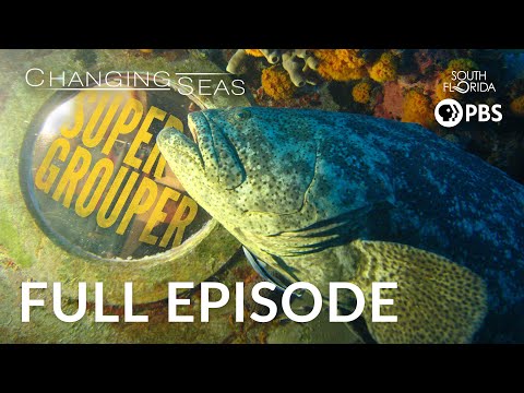 Super Grouper - Full Episode