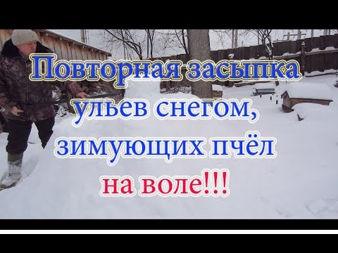 ЗИМОВКА ПЧЁЛ в СУГРОБЕ СНЕГА, до закопка и заглянем в ЗИМОВНИК🔥🔥🔥