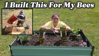 We Got Bees… Then I Built Them a Garden