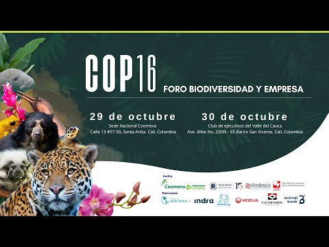 COP 16