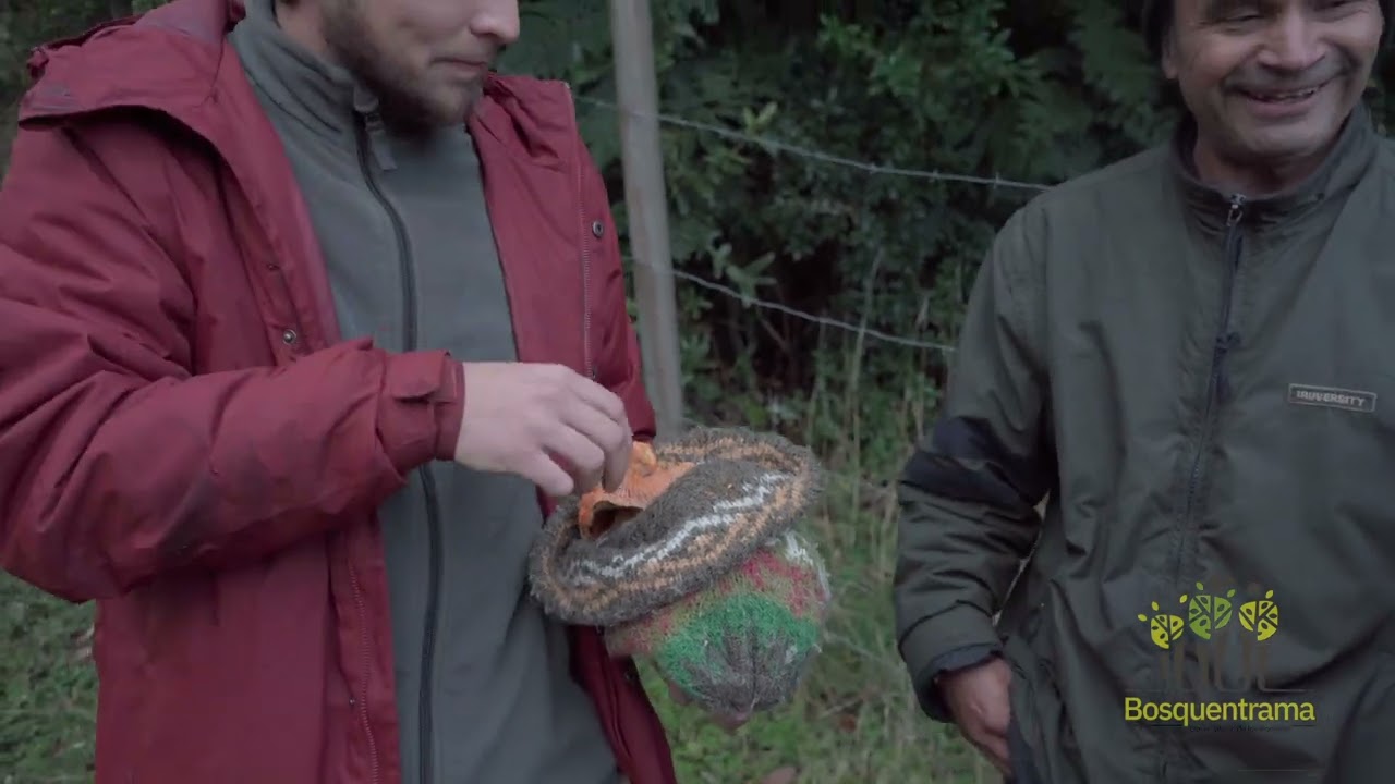 Encuentro Nacional Bosquentrama, abril 2025