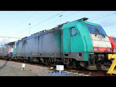 Rotterdam (Maasvlakte (West)(West)) (Trains) (20211225) (Slide show)