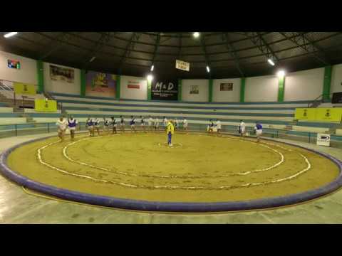 Unión sardina & vecinos unidos (Lucha canaria)