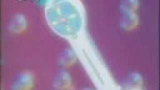 Mermaid Melody Amiche Vincenti