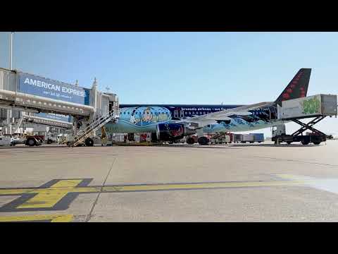 Aeroporto JCDecaux - Aeroporto de Bruxelas - Jet Bridges