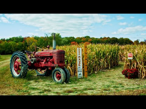 Autumn in Ovid, New York. 2022 | Shot on Blackmagic Micro Cinema Camera (BMMCC)